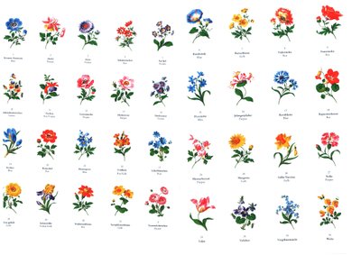 Templates for Flower Painting from the Manufacture of Meissen by Unbekannt Unbekannt